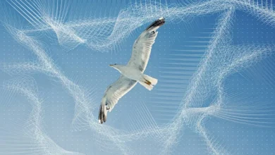 Biomimicry Biomimicry