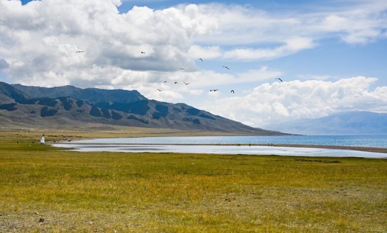 Chinas 15th Five Year Plan China's 15th Five-Year Plan: What It Means for Global Climate Action