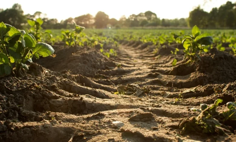 Drought proofing farms Drought-proofing farms