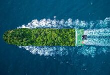 Global Idled Fleet Ecological Roulette