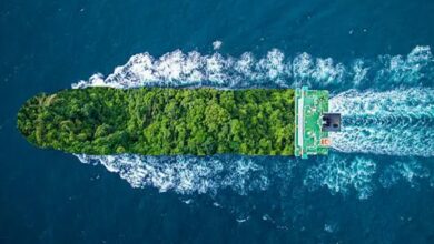 Global Idled Fleet Ecological Roulette