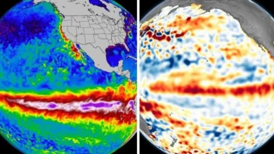 La Nina vs El Nino La Niña vs El Niño