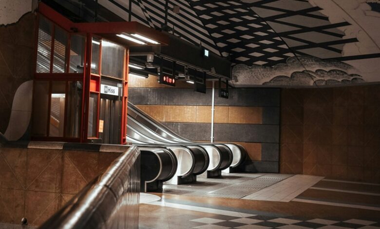 Life Underground Life Underground