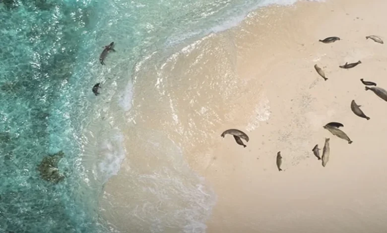 Pacific marine monuments