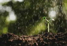 Petrichor Science Petrichor Science