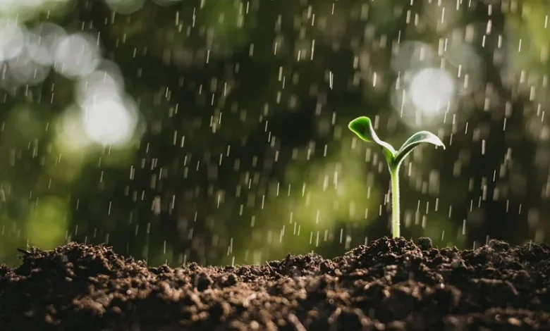 Petrichor Science