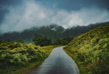 Rainforests Interesting Facts About Rainforests