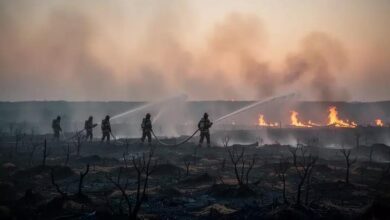 Record Wildfires Sweep Britain as Extreme Heat Fuels Devastating Destruction Wildfires in Britain