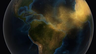 Saharan Dust Fertilizes Amazon Rainforest Saharan Dust Fertilizes Amazon Rainforest