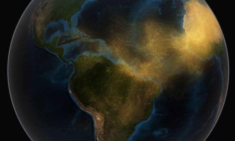 Saharan Dust Fertilizes Amazon Rainforest