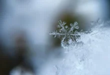 Snowflake Physics Snowflake Physics
