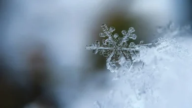 Snowflake Physics Snowflake Physics