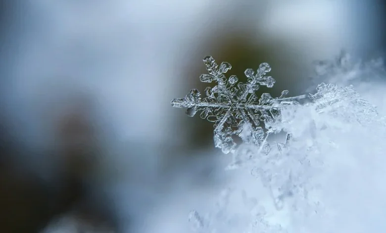 Snowflake Physics