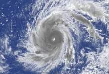 Typhoon Dolphin Typhoon Dolphin