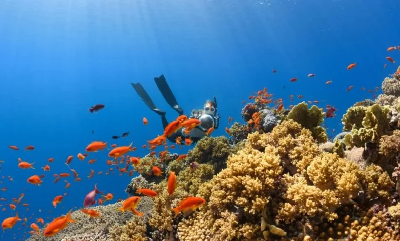 Aquatic Deoxygenation