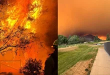 Untitled design 2026 08 10T205610.104 Spokane Wildfires