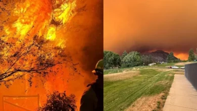 Untitled design 2026 08 10T205610.104 Spokane Wildfires