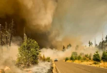 Untitled design 2026 08 10T212204.374 Wildfire Smoke