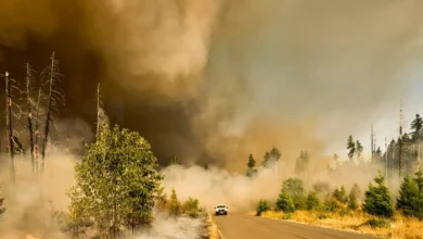 Untitled design 2026 08 10T212204.374 Wildfire Smoke