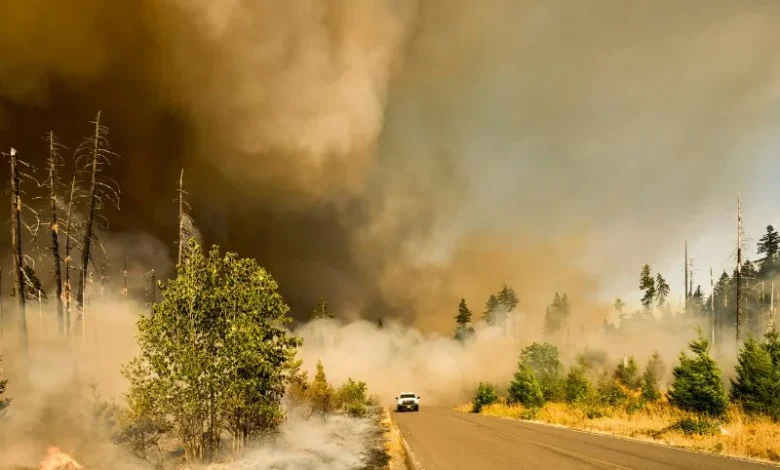 Untitled design 2026 08 10T212204.374 Wildfire Smoke