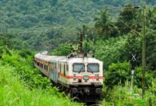 Untitled design 2026 08 11T172814.594 Western Ghats protection