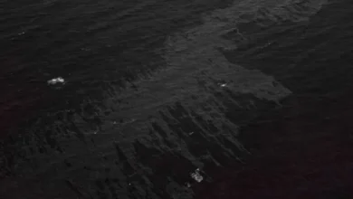 Untitled design 2026 08 13T173809.704 Oman Oil Spill