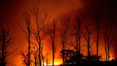 Untitled design 2026 08 13T201405.330 US wildfire season