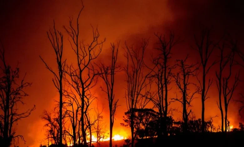 US wildfire season