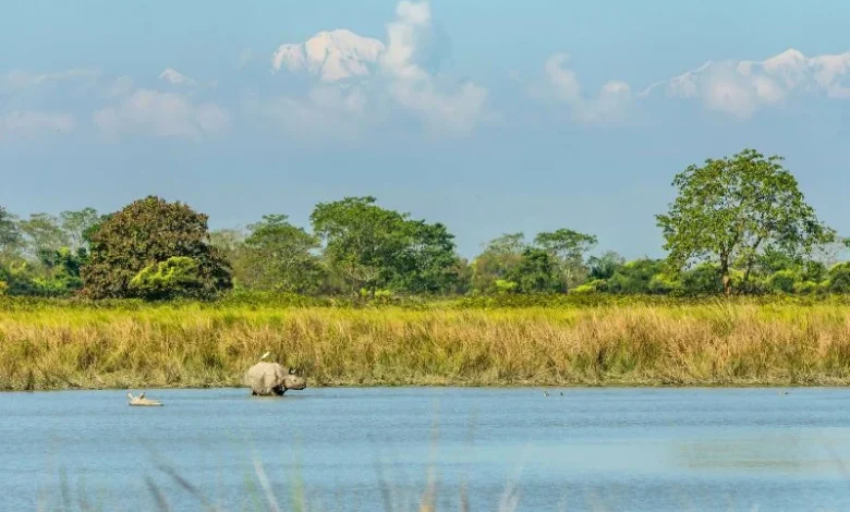 Untitled design 2026 08 17T181150.714 Kaziranga eco zone