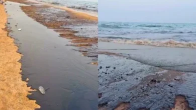 Untitled design 2026 08 17T195012.238 Qeshm oil spill
