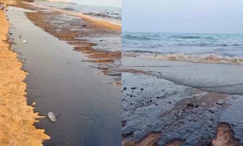 Qeshm oil spill