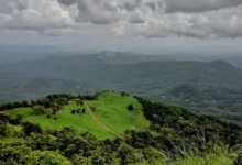 Untitled design 2026 08 20T192155.135 Nilgiris biosphere threat