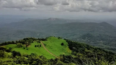 Untitled design 2026 08 20T192155.135 Nilgiris biosphere threat