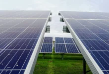 Untitled design 2026 08 21T172022.088 China solar power bird diversity