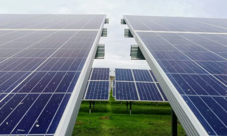 Untitled design 2026 08 21T172022.088 China solar power bird diversity