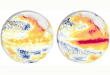 Untitled design 2026 08 24T220456.084 record El Nino forecast