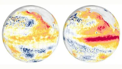 Untitled design 2026 08 24T220456.084 record El Nino forecast