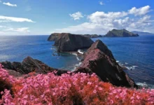 Untitled design 2026 08 26T202849.978 Hottest summer in Channel Islands