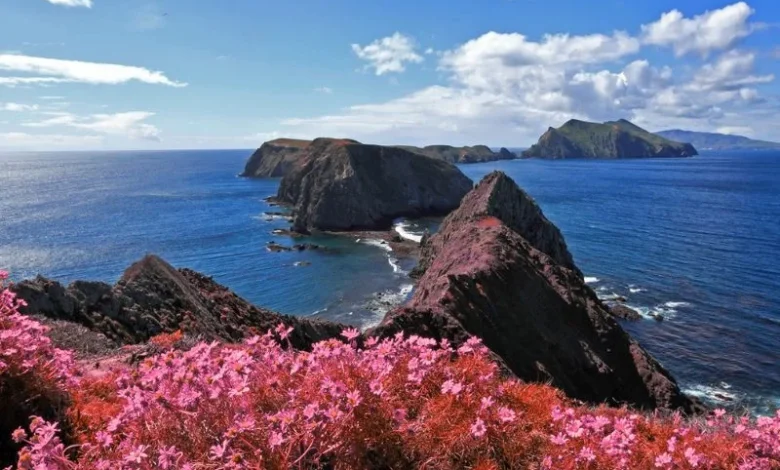 Hottest summer in Channel Islands
