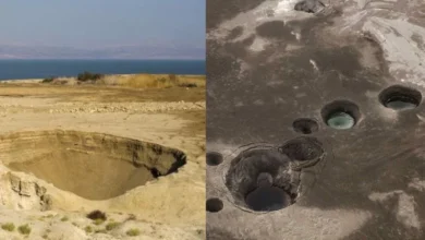 Untitled design 2026 09 02T201917.657 dead sea sinkholes