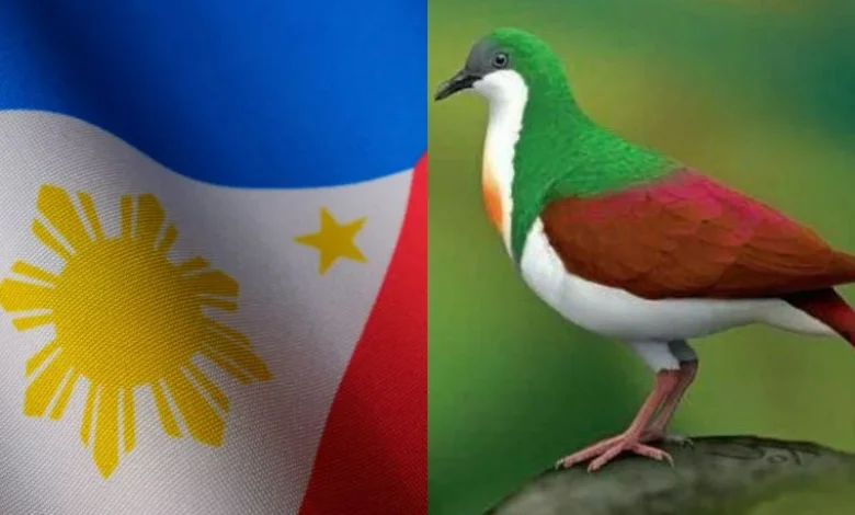 indigenous bird knowledge