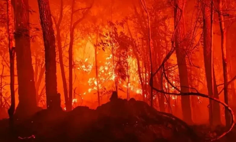 crop-residue burning