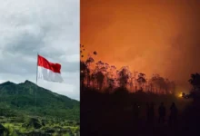 Untitled design 2026 09 04T205637.533 Indonesia wildfires