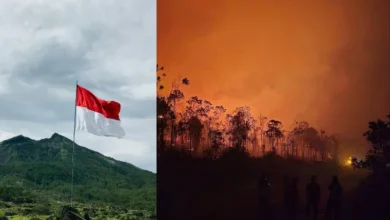 Untitled design 2026 09 04T205637.533 Indonesia wildfires