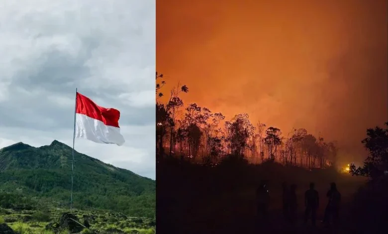 Indonesia wildfires