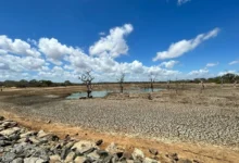 Untitled design 2026 09 04T210238.176 European drought 2026