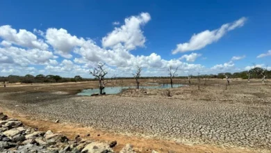 Untitled design 2026 09 04T210238.176 European drought 2026
