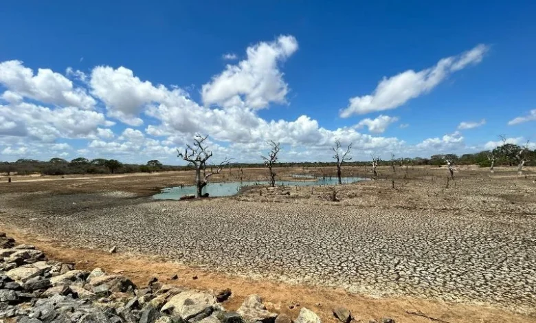 European drought 2026
