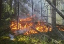 Untitled design 2026 09 05T202150.868 Sydney bushfire risk