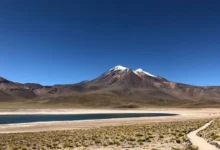 Untitled design 2026 09 07T191437.511 Atacama Desert bloom
